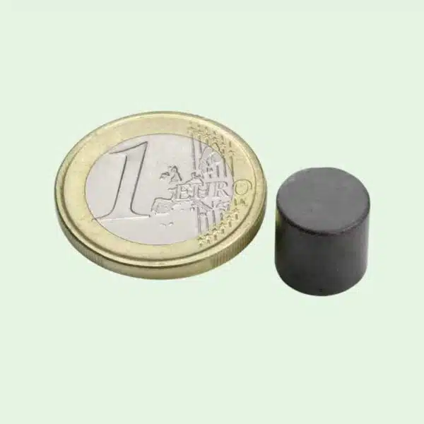 Ferriet magneet 10 x 10 mm