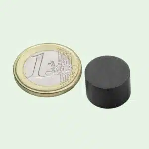 Schijfmagneet Ferriet 15 x 10 mm (Trekkracht ca. 750 gram) 2 Ferriet magneet 15 x 10 mm