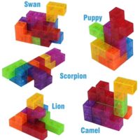 Magnetische kubus puzzel + speelkaarten 5 Magnetische kubus puzzel voorbeelden
