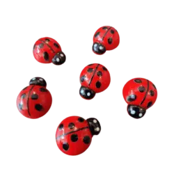 Koelkastmagneten Lieveheersbeestjes 6 stuks, rood met zwarte stippen