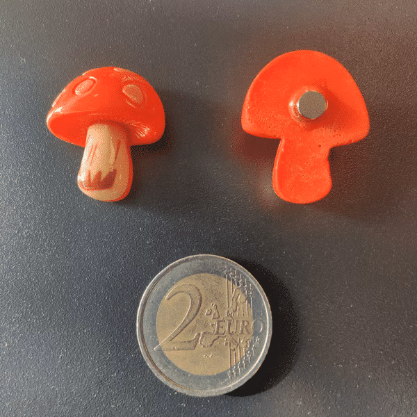 Paddestoel magneetjes