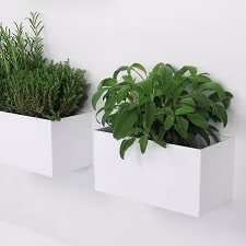 Magnetische bakjes