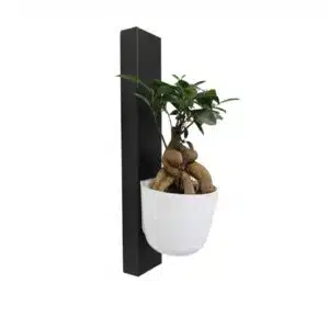 Magnetic Bar Zwart 50 cm 5 Zwarte magnetische houder voor magnetische plantenbakken van KalaMitica uit Italie