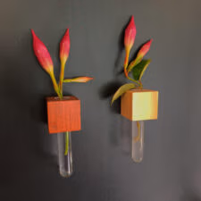 Twee magnetische muurvaasjes met hardroze bloem tegen een zwarte ondergrond