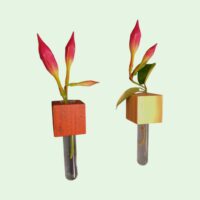 Magnetische Muurvaasjes 'Wood' 2 Muurvaasjes met magneet in twee kleuren met donker roze bloem