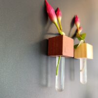 Magnetische Muurvaasjes 'Wood' 3 Twee muurvaasjes met een bloem op een zwart magneetbord