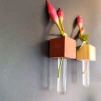Twee muurvaasjes met een bloem op een zwart magneetbord