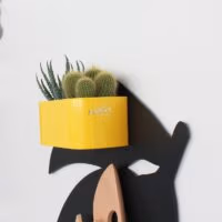 Geel magnetisch bakje op citroen magneetbord