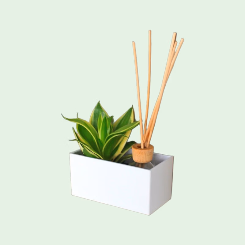 Magnetisch bakje Gea wit