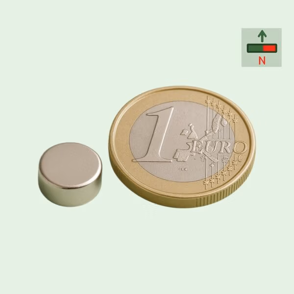 Schijfmagneet Ø 12 mm, hoogte 6 mm, diametraal MagneetjesWinkel – MagneetjesWinkel