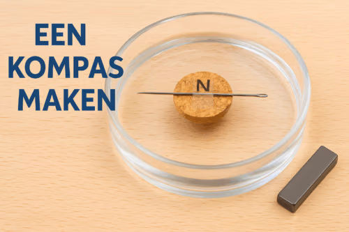 Zelfgemaakt kompas met een magnetiseerde naald op een stukje kurk drijvend in een glazen schaal water, met een neodymium blokmagneet ernaast – MagneetjesWinkel.nl
