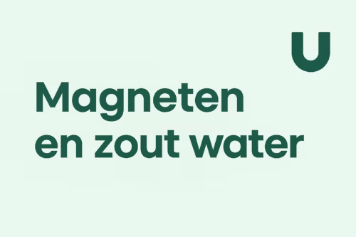 Uitgelichte afbeelding voor het artikel over magneten in zout water, in mintgroene huisstijl van MagneetjesWinkel.nl.